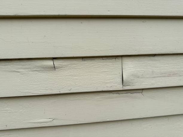 Best Hoarding Cleanup  in Oak Grove, MO